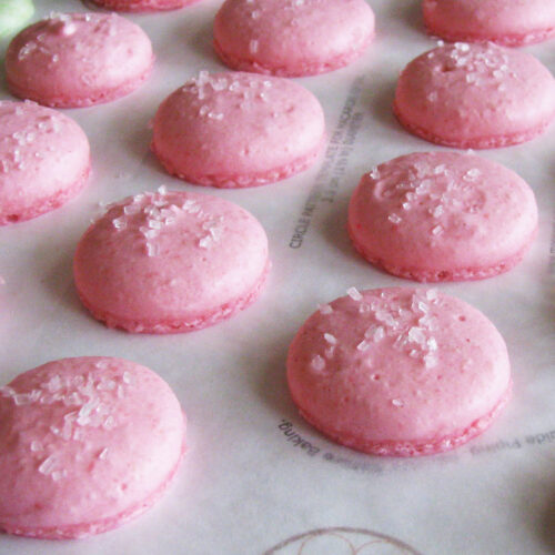 Bubblegum Macarons After Baking