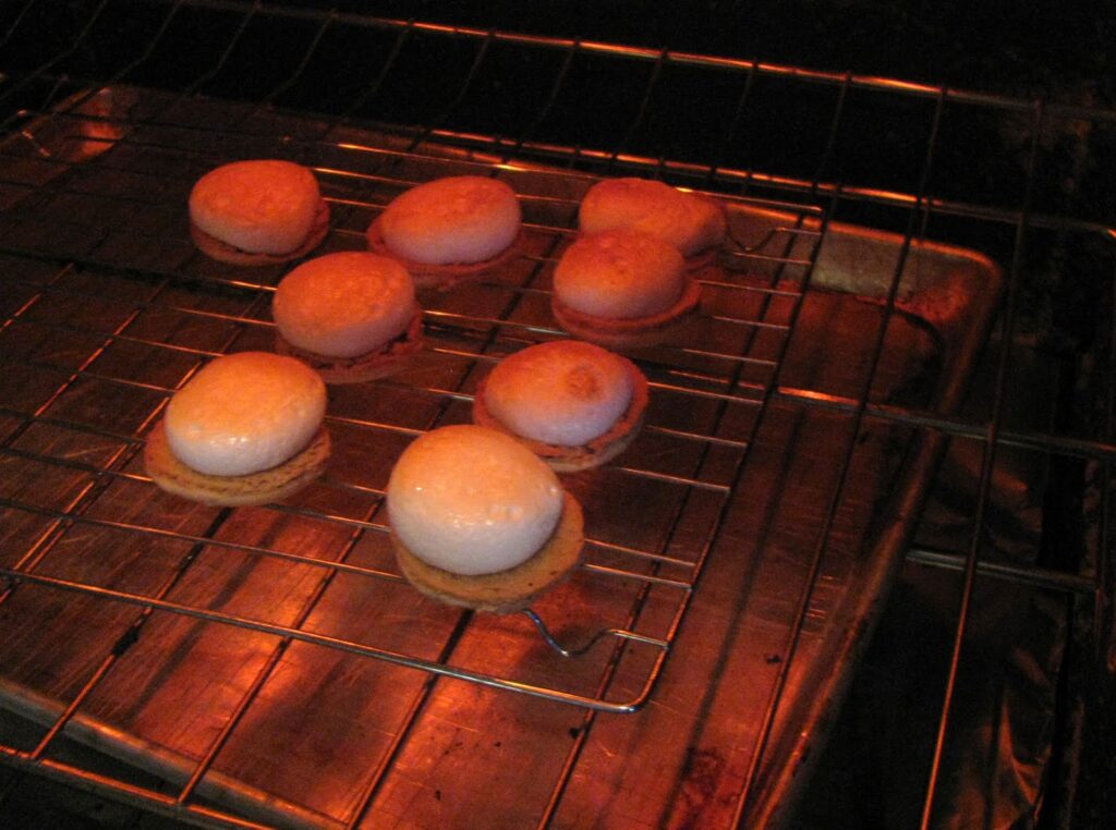 Toasting Marshmallows on Macarons