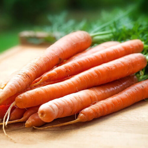 carrots for carrot cake for dogs