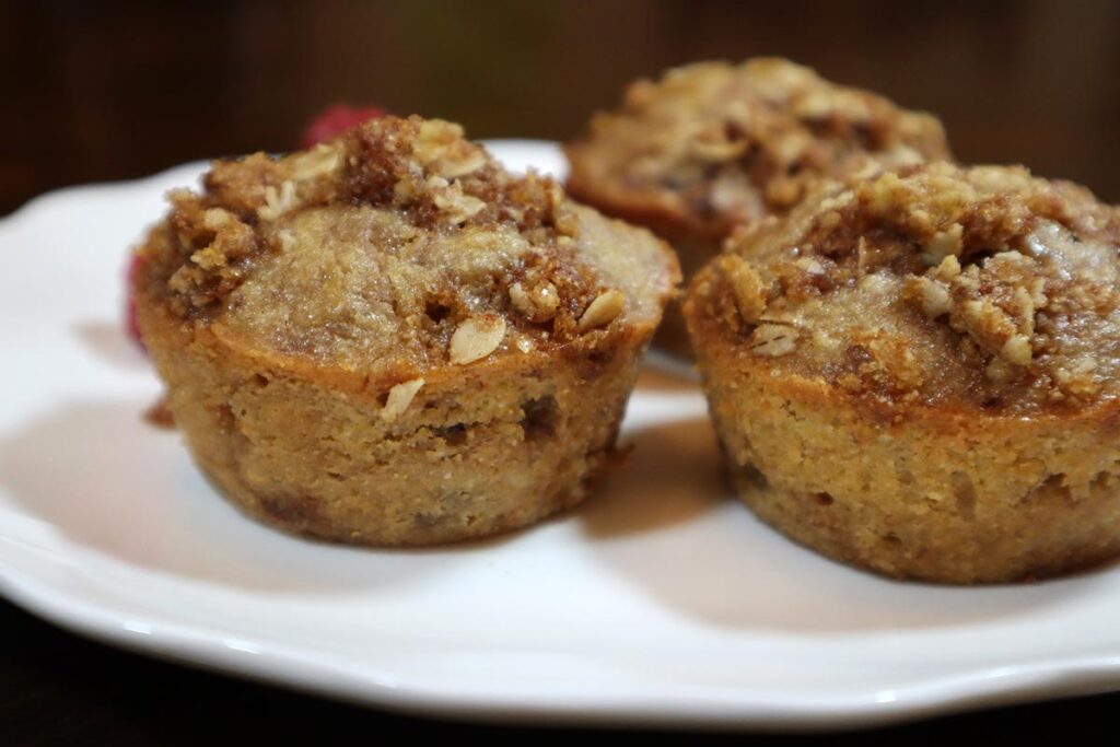 Best Banana Oatmeal Chocolate Chip Muffins