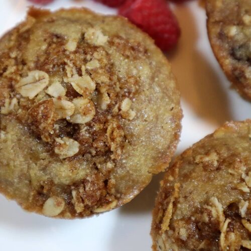 Best Banana Oatmeal Chocolate Chip Muffins