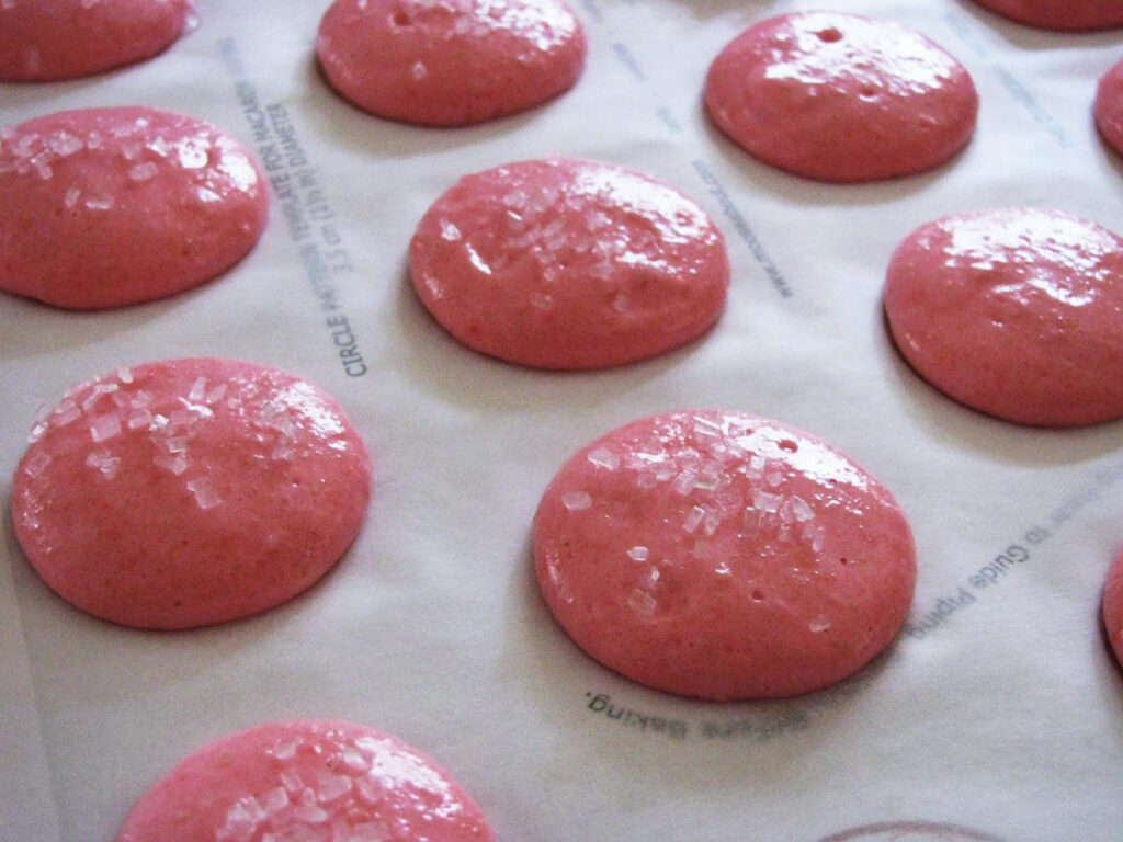 wet macarons beore baking bubblegum macarons