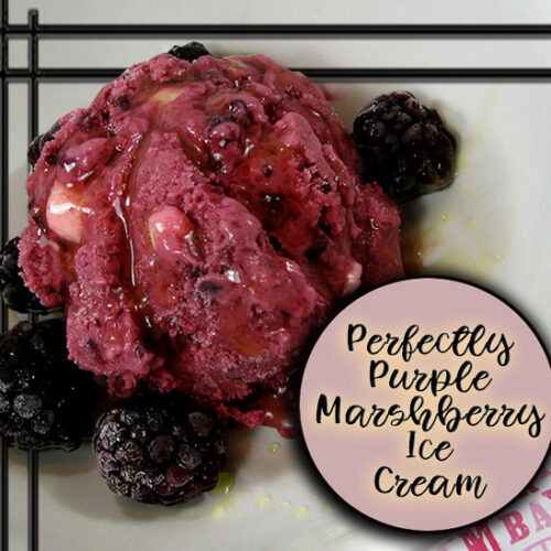 The Best Ice Cream You'll Ever Make: Perfectly Purple Marshberry Ice Cream Recipe