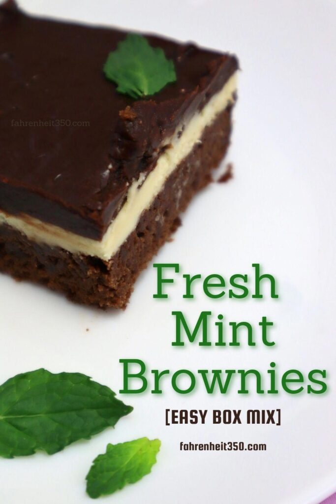 Totally Yummy and Flawless Fresh Mint Brownies [EASY BOX MIX]